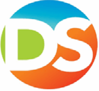 DS Network Solutions.png