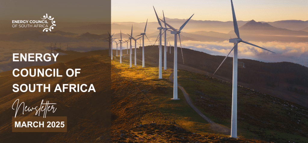 Power Council Energy Council of South Africa Newsletter March 2025 - SAPVIA